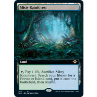 Misty Rainforest